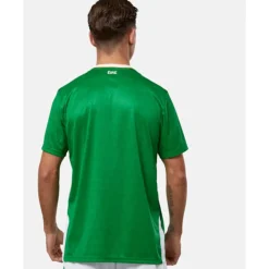 Adults Ireland Home Jersey-Castore Best