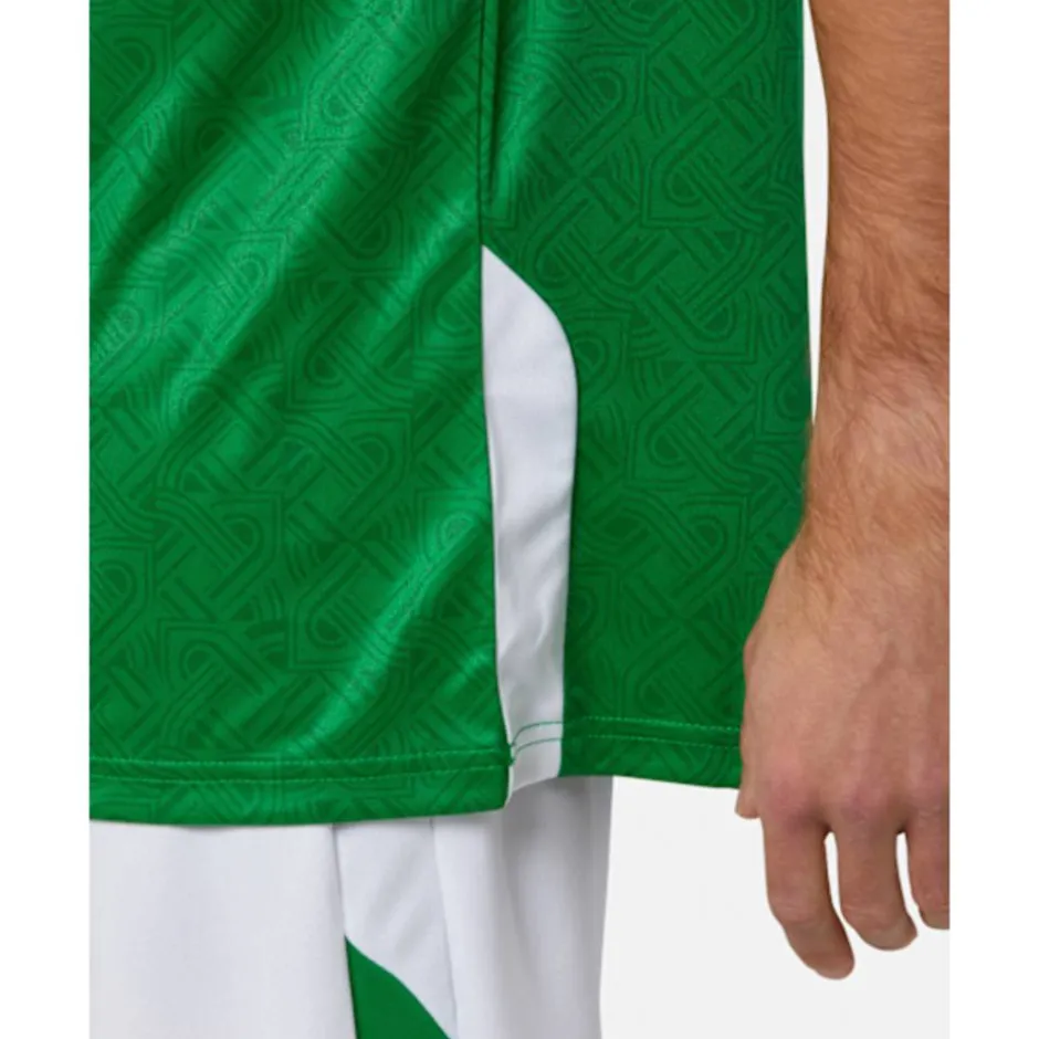 Adults Ireland Home Jersey-Castore Best
