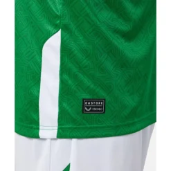 Adults Ireland Home Jersey-Castore Best