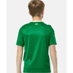Kids Ireland Home Jersey-Castore Sale