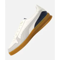 Mens Indoor-Puma Fashion