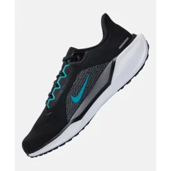 Mens Pegasus 41-Nike New
