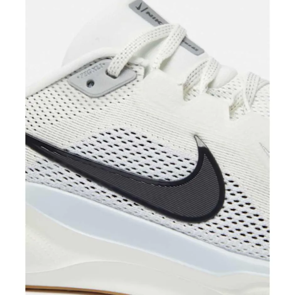 Mens Pegasus 41-Nike Online