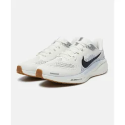Mens Pegasus 41-Nike Online