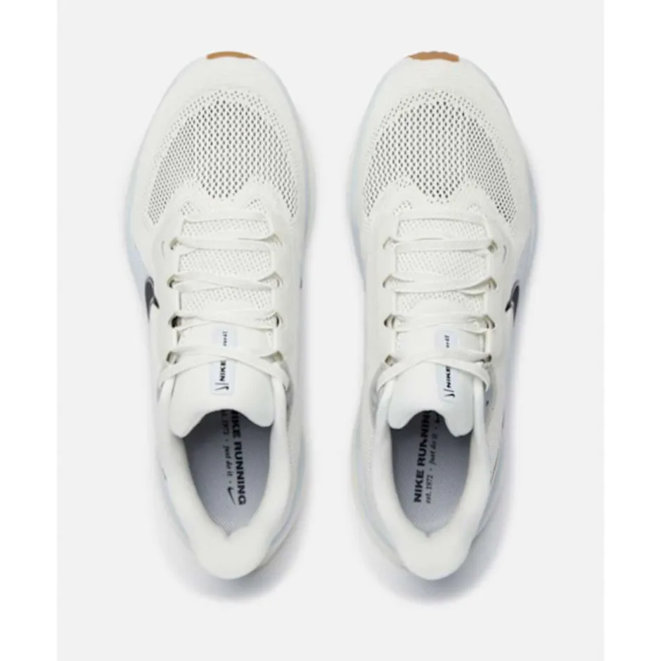 Mens Pegasus 41-Nike Online