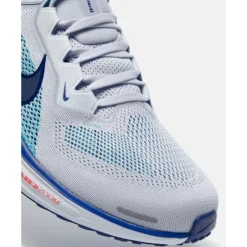 Mens Pegasus 41-Nike Outlet