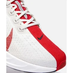 Mens Pegasus Plus-Nike Sale