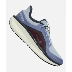Mens Winflo Goretex-Nike Online
