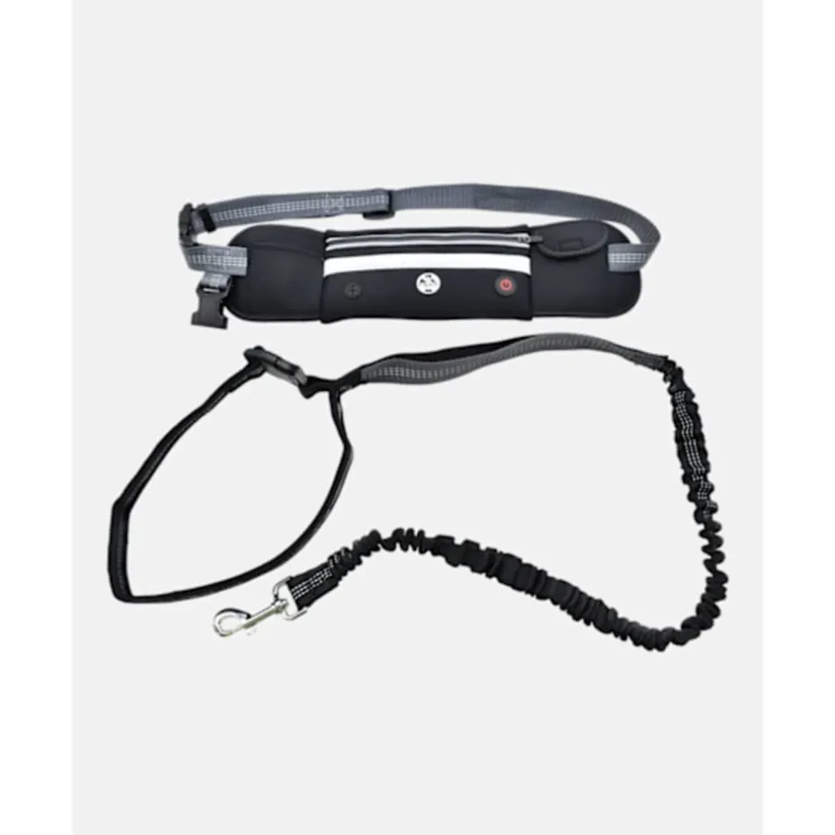 UF LED Dog Lead Running Belt-Six Peaks Outlet