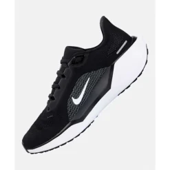 Womens Air Zoom Pegasus 41-Nike Hot