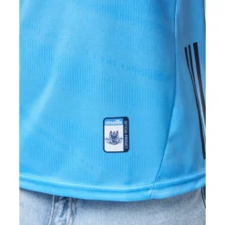 Womens Dublin 24/25 Home Jersey-O'Neills Hot